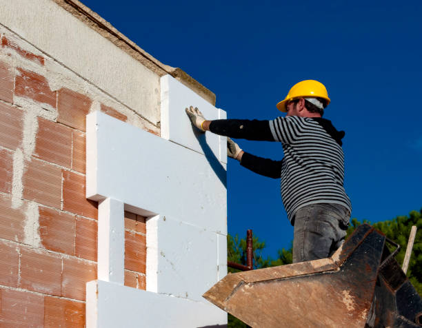 Best Professional Insulation Contractor  in Chillicothe, MO