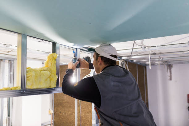Best Garage Insulation Installation  in Chillicothe, MO