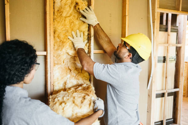 Best Cellulose Insulation  in Chillicothe, MO