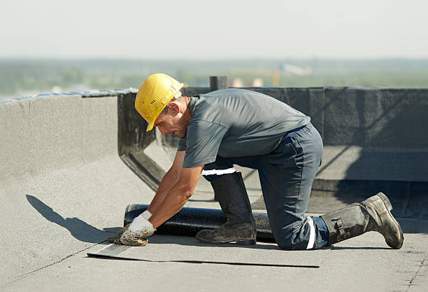 Best Energy-efficient Insulation  in Chillicothe, MO