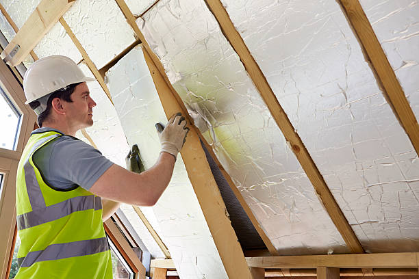 Best Soundproof Insulation Installation  in Chillicothe, MO