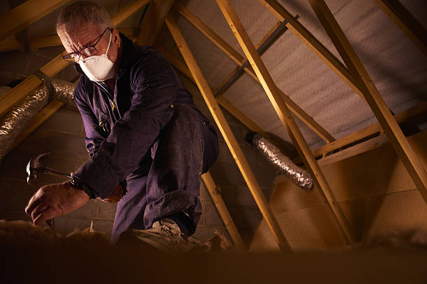 Best Crawl Space Insulation  in Chillicothe, MO